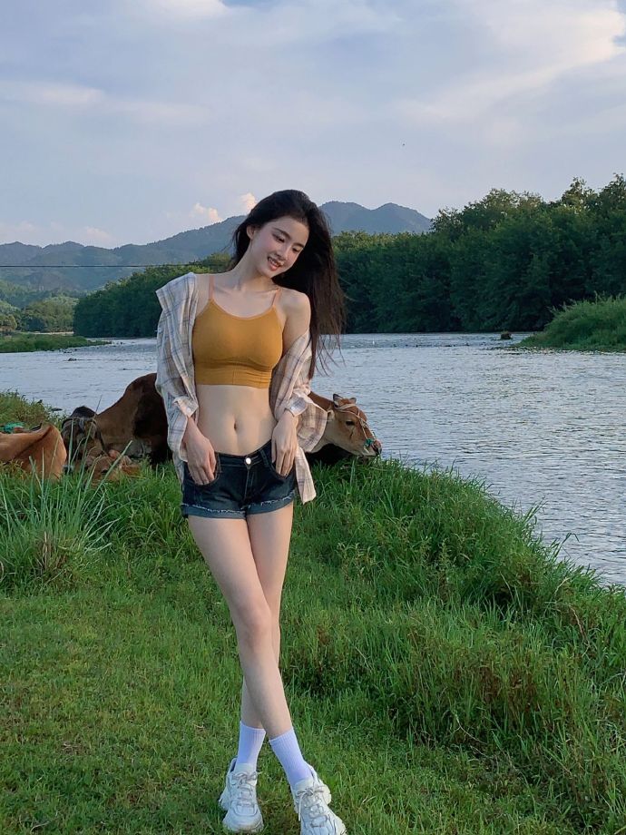 我的团长我的团 封面